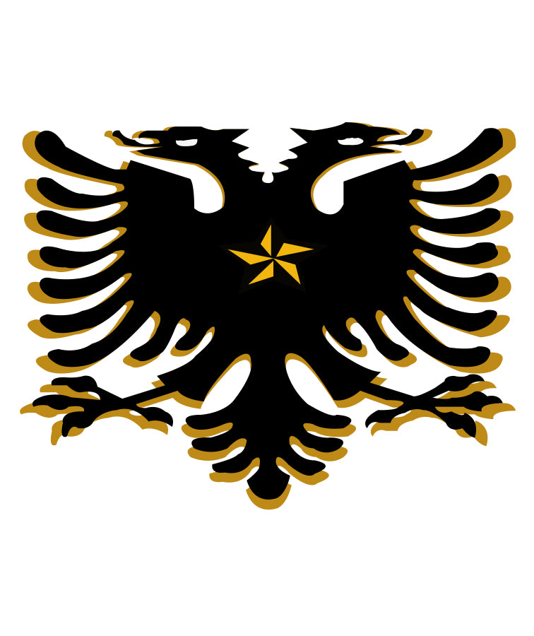 Dragon design for custom printing on t-shirts and apparel