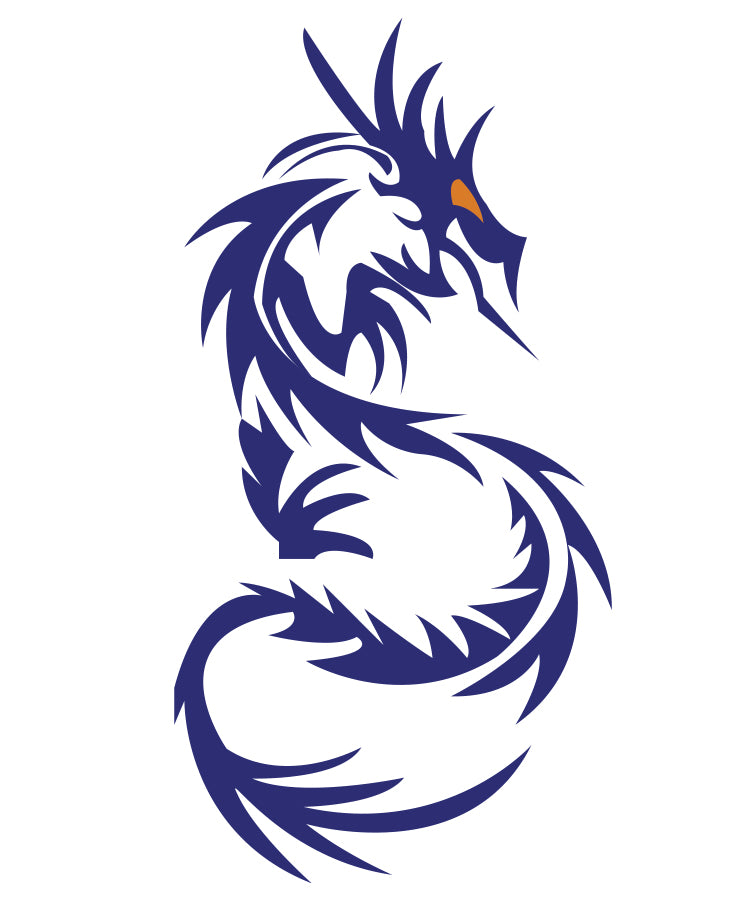 Snake Dragon design for custom printing on t-shirts and apparel