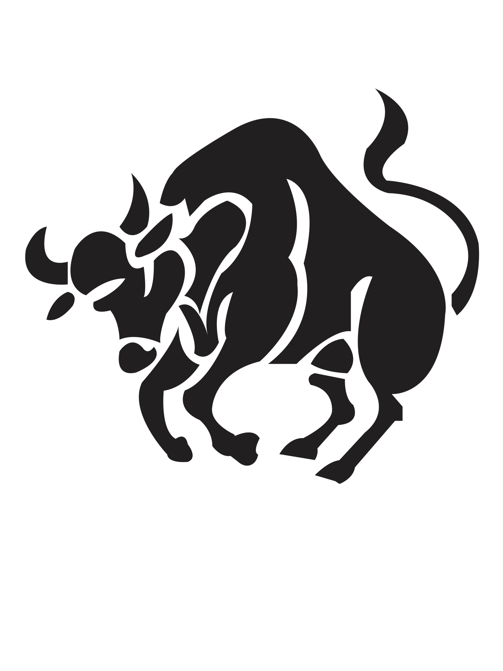  Bull Zodiac Sign for custom printing on t-shirts and apparel