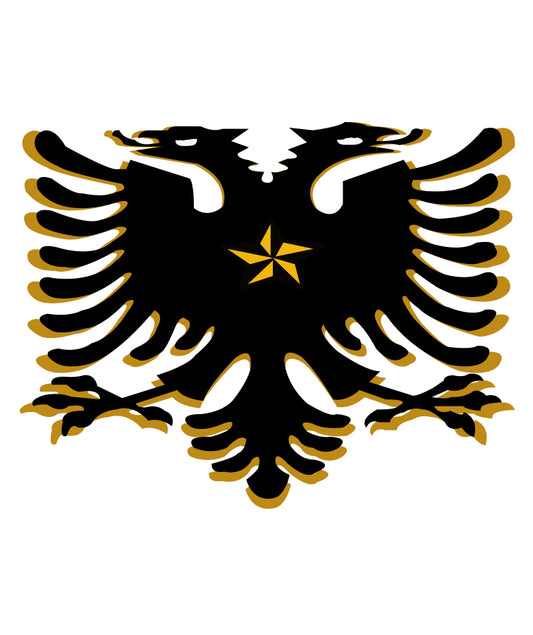  Dragon design for custom printing on t-shirts and apparel