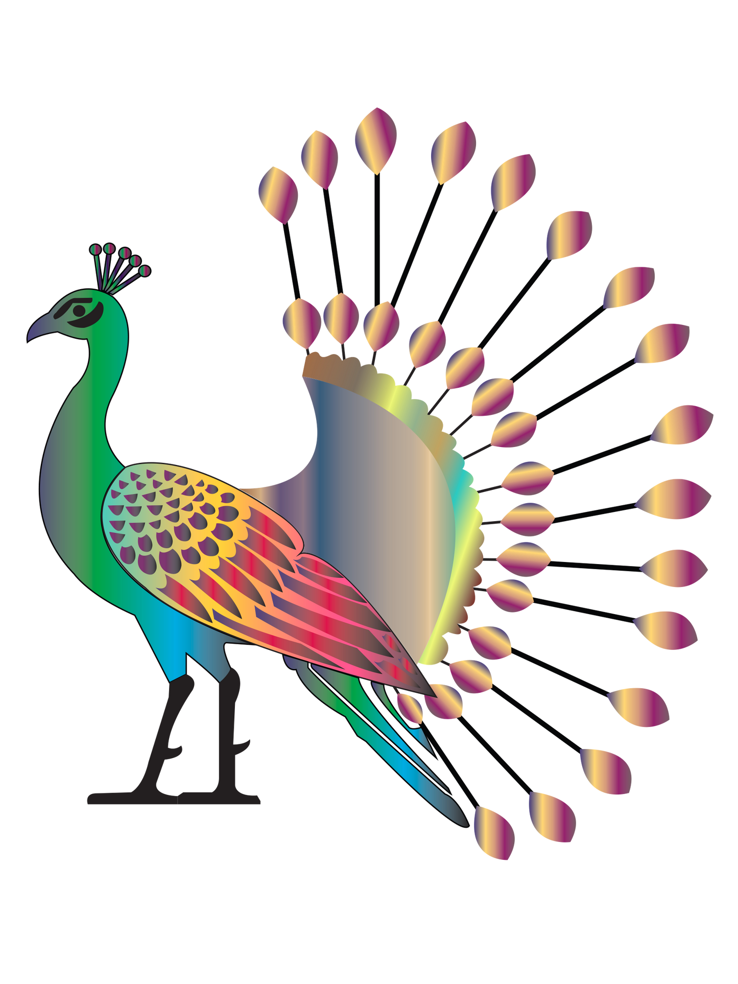 Peacock Design Elevate your creative projects with this striking peacock design .