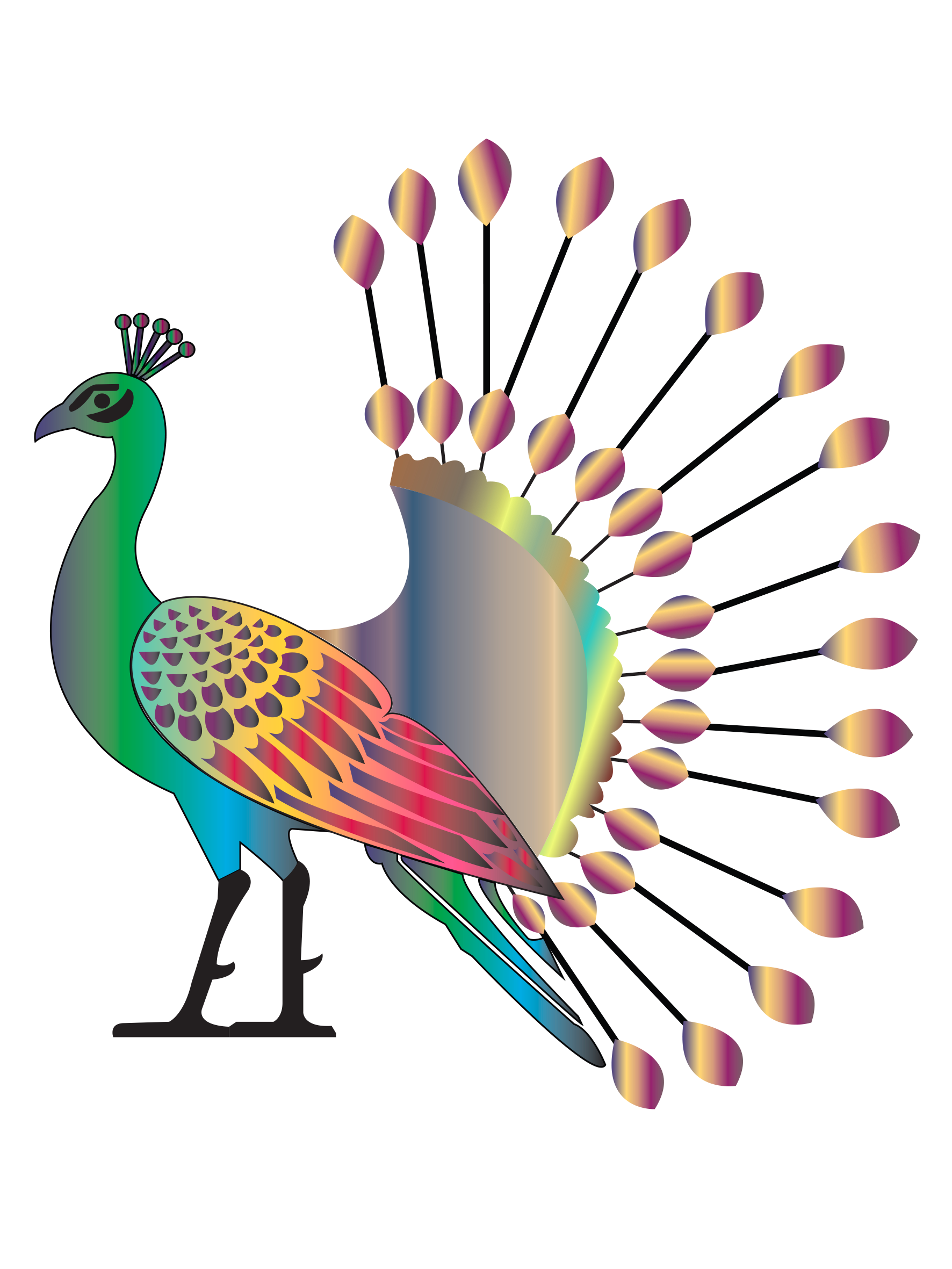 Peacock Design Elevate your creative projects with this striking peacock design .