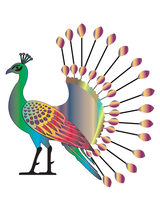 Peacock Design Elevate your creative projects with this striking peacock design .